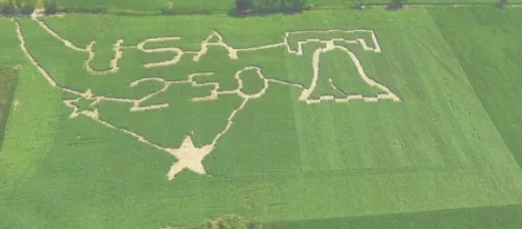 An Amazing Adventure: Dotterer Dairy  opens sunflower maze for fifth year
